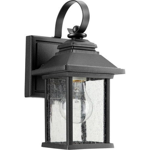 Pearson 1 Light 10 inch Noir Outdoor Wall Lantern, Clear Seeded