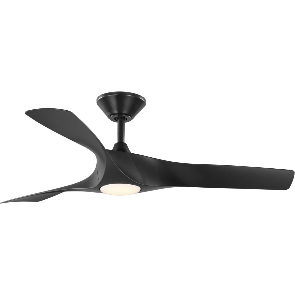 Ryne Outdoor Fan