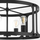 Colburn 4 Light 22 inch Matte Black Pendant Ceiling Light