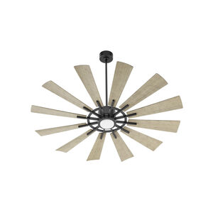 Cirque 60 inch Matte Black with Weathered Gray Blades Patio Fan