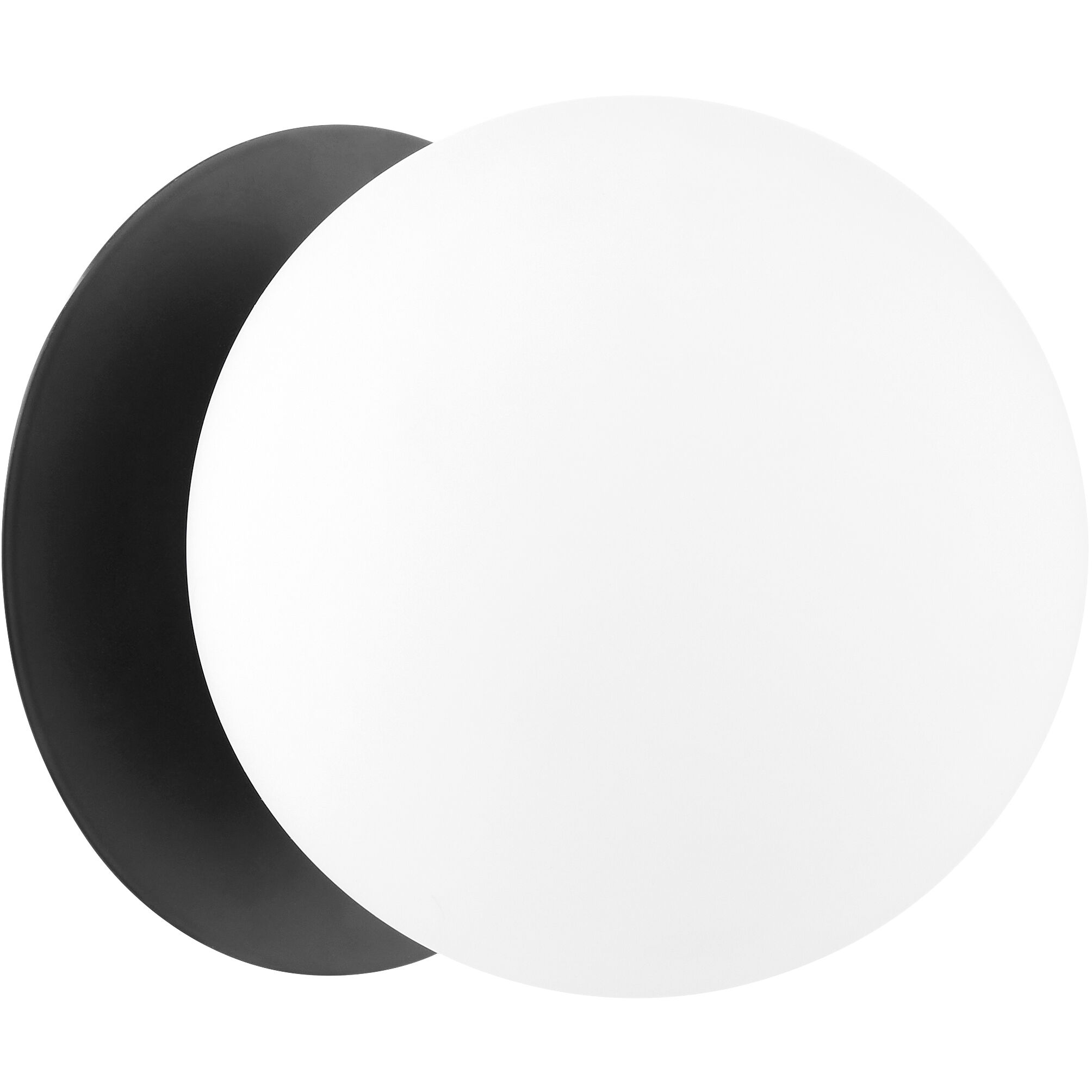 Fort Worth Wall Mount Wall Light in Matte Black