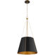 Denise 3 Light 18 inch Matte Black and Aged Brass Pendant Ceiling Light