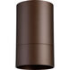 Cylinder 1 Light 4 inch Oiled Bronze Outdoor Ceiling Mount