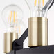 Paxton 16 Light 42 inch Noir and Aged Brass Chandelier Ceiling Light
