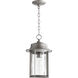 Charter 1 Light 10 inch Graphite Outdoor Hanging Lantern