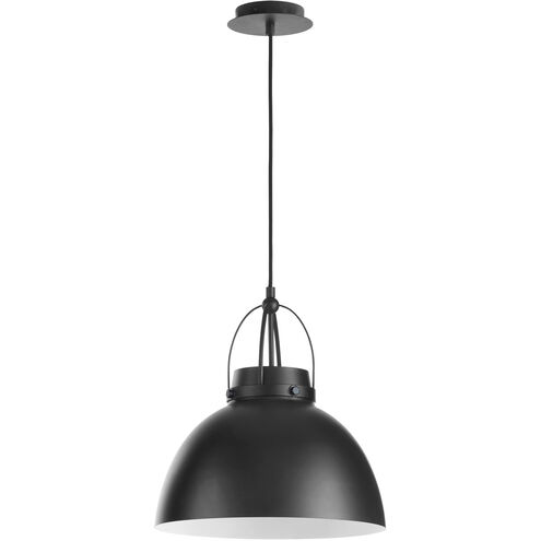 Fort Worth 1 Light 15 inch Matte Black Pendant Ceiling Light