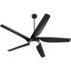 Fury 65 inch Matte Black Ceiling Fan