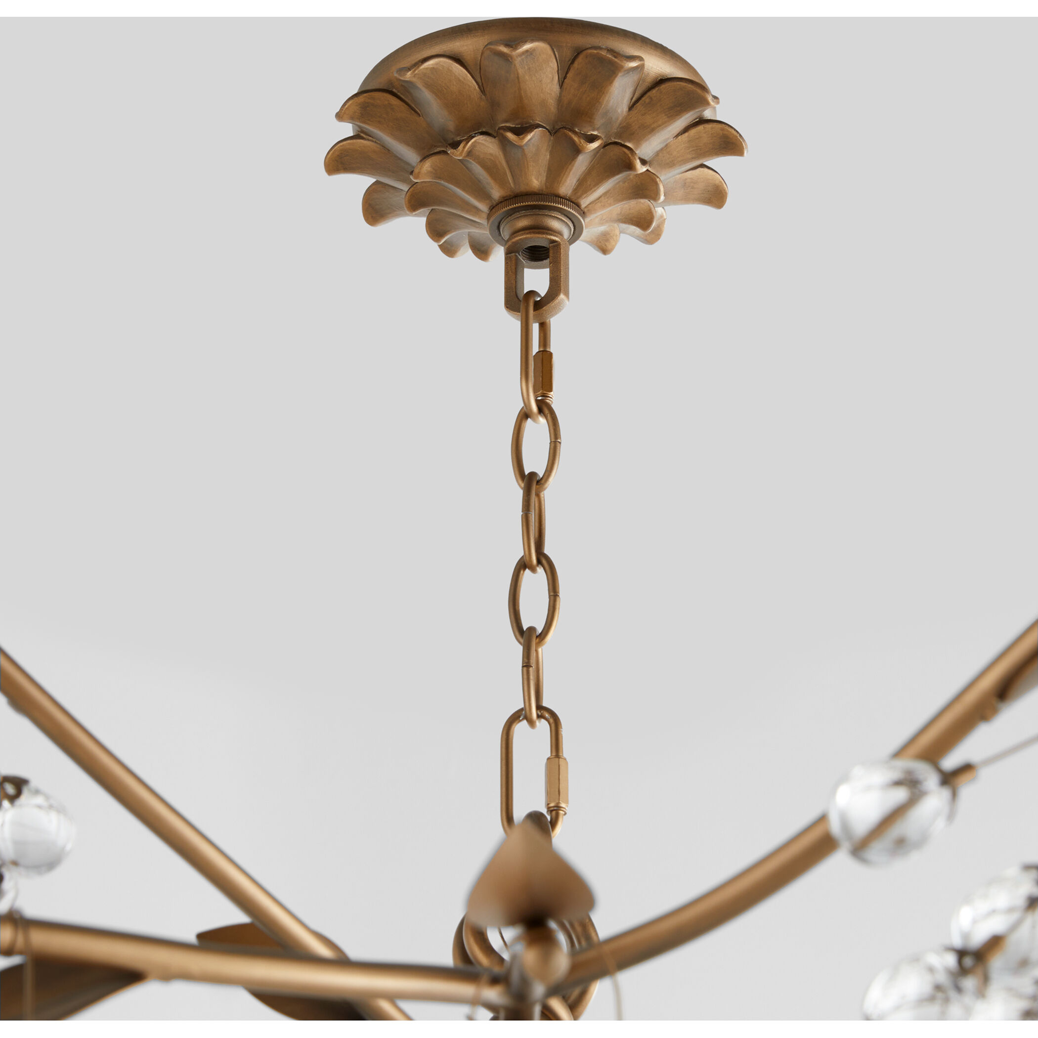 Glicina 8 Light 45 inch Natural Brass Chandelier Ceiling Light