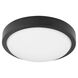 Fort Worth 1 Light Matte Black Light Kit