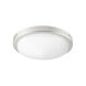 Titus 1 Light Satin Nickel Fan Light Kit