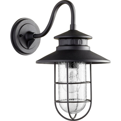 Moriarty 1 Light 9.50 inch Outdoor Wall Light