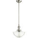 Schoolhouse 1 Light 12 inch Satin Nickel Pendant Ceiling Light in Clear