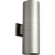Cylinder 2 Light 17.25 inch Graphite Outdoor Wall Mount