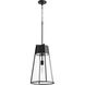 Fort Worth 1 Light 13 inch Noir Pendant Ceiling Light
