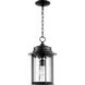 Charter 1 Light 10 inch Noir Outdoor Pendant, Clear Hammered