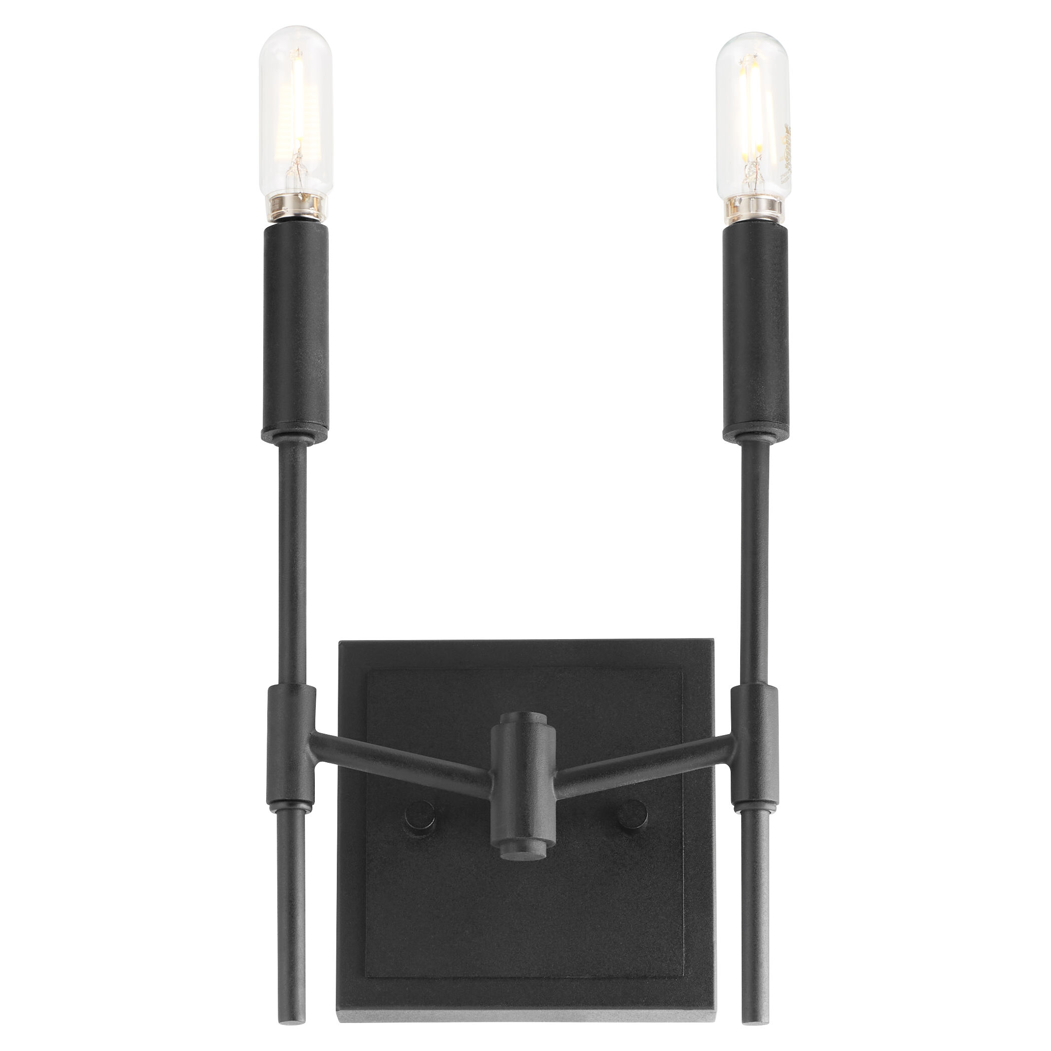 Hamilton 2 Light 10 inch Matte Black Wall Sconce Wall Light