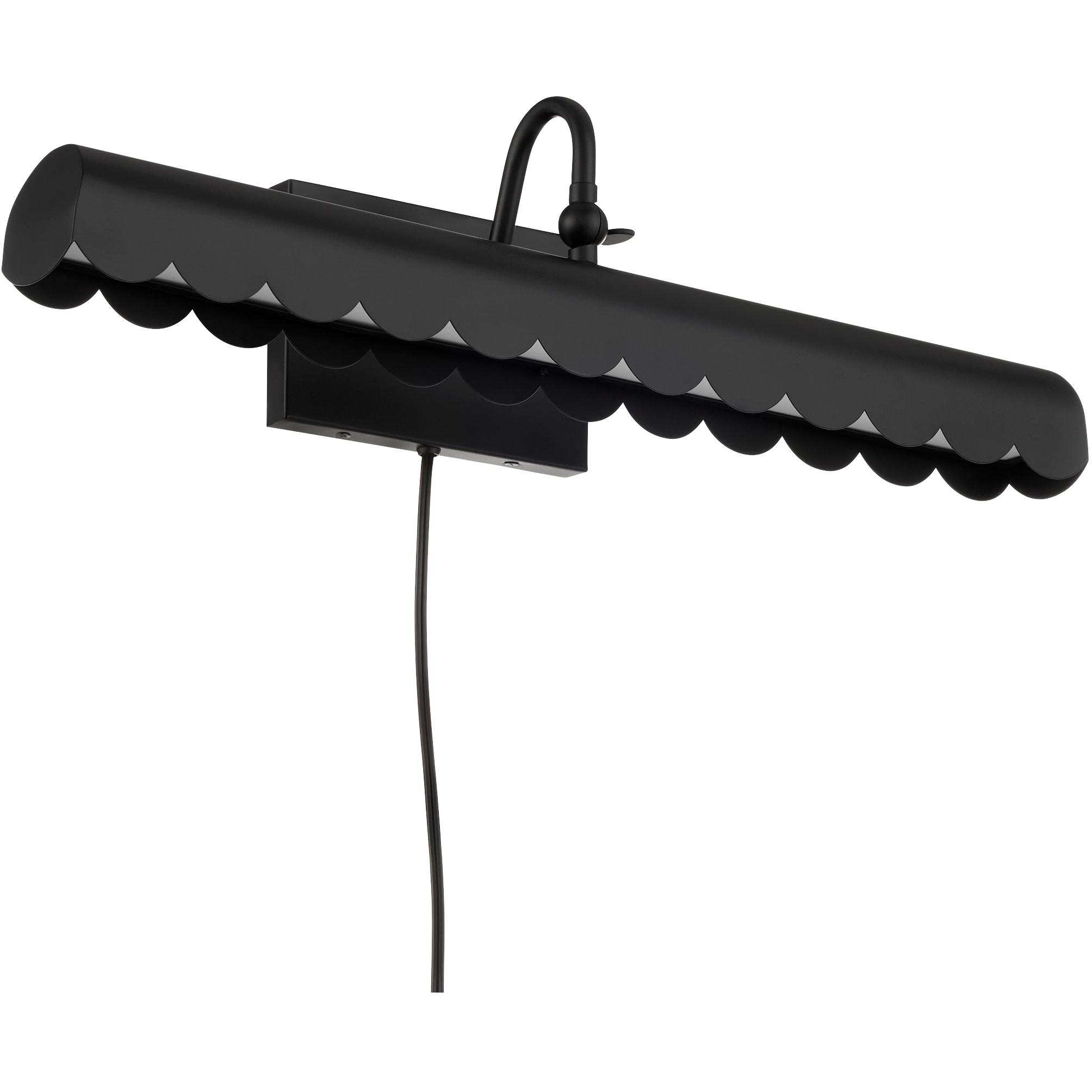 Karnes 0 watt 23.75 inch Matte Black Picture Light Wall Light