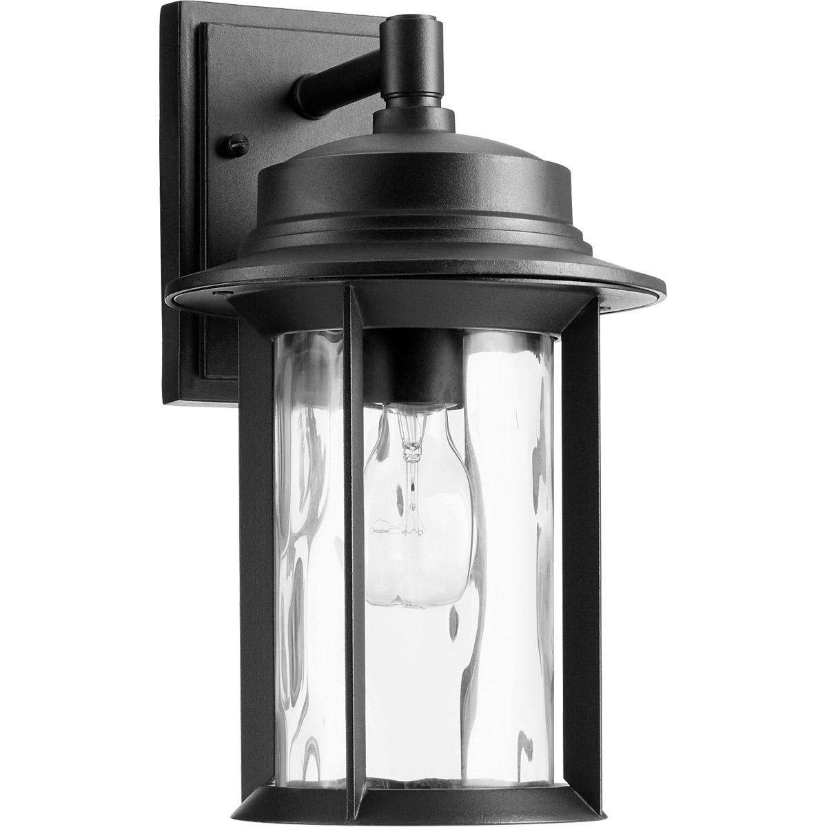 Charter 1 Light 14 inch Noir Outdoor Wall Lantern, Clear Hammered