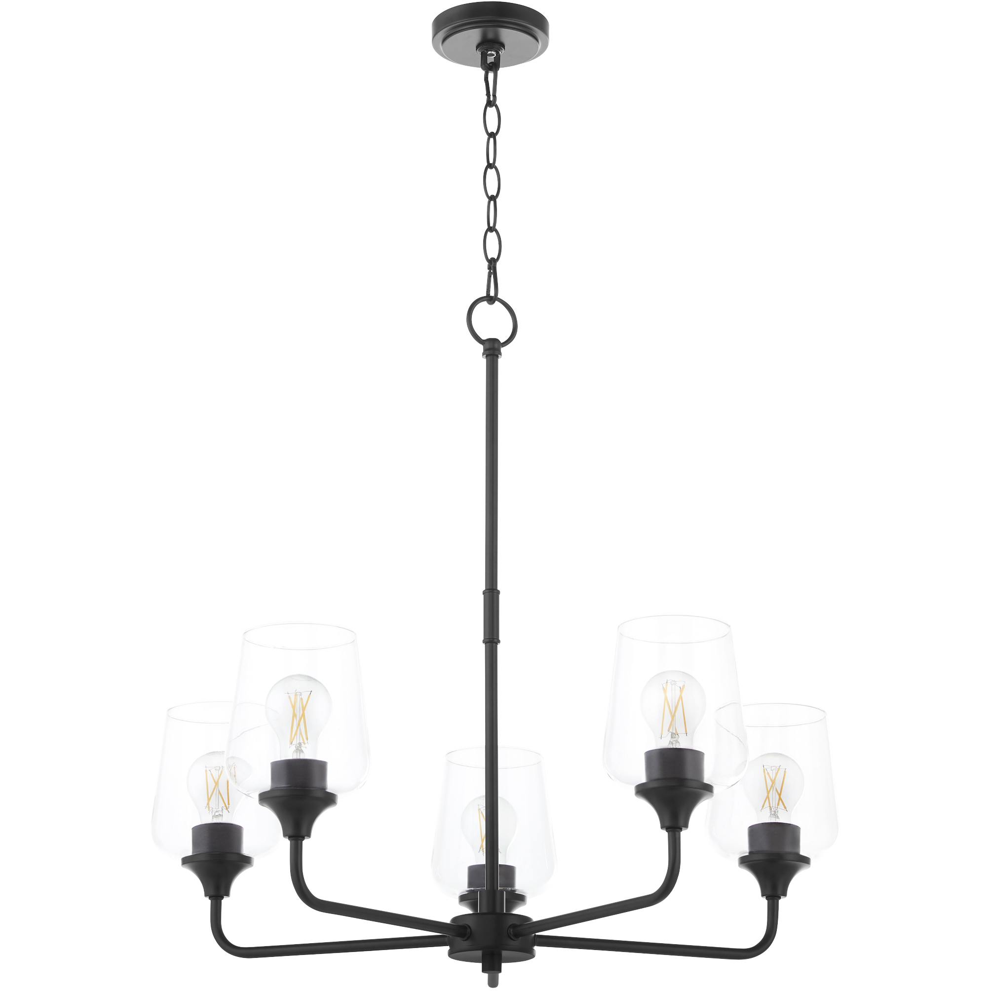 Raymond 5 Light 27 inch Matte Black Chandelier Ceiling Light in Clear