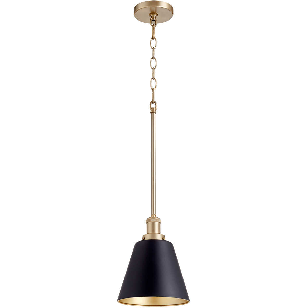 Fort Worth 1 Light 8 inch Noir and Aged Brass Mini Pendant Ceiling Light
