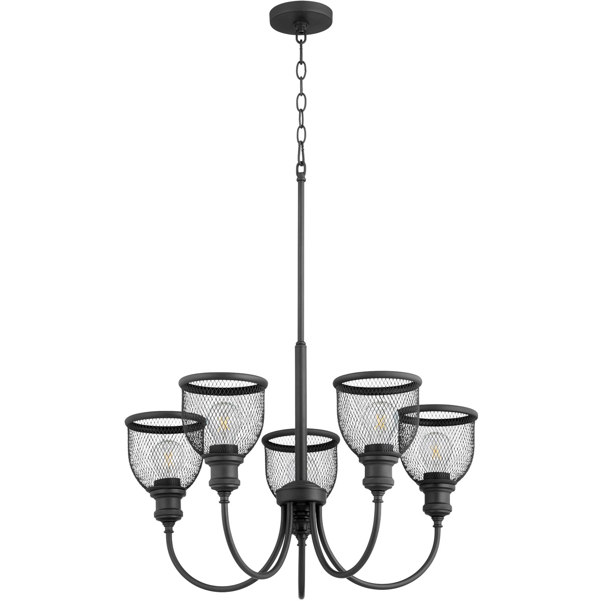 Omni 5 Light 26 inch Noir Chandelier Ceiling Light, Convertible